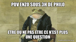 ENZO OMNISCIENT