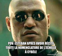 Matrix Morpheus