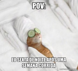 Pampered Cat Meme