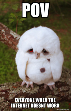 Sad Owl