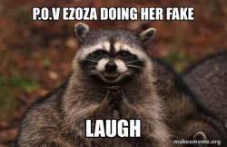 Evil Plotting Raccoon