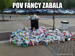Fancy zebala