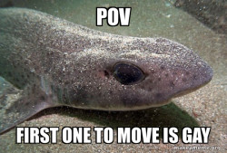 Dirty Joke Dogfish