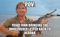 Steve irwin