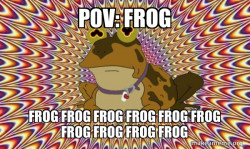 Hypnotoad