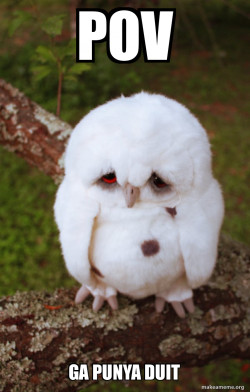 Sad Owl