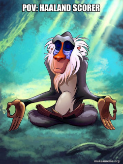 Rafiki Meditating - Lion King