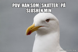 Stuff That Didn't Happen Seagull