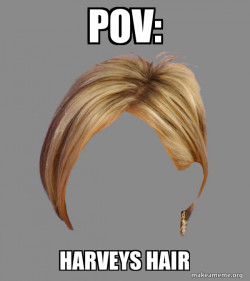 The Karen Hair