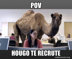 Hump Day Camel