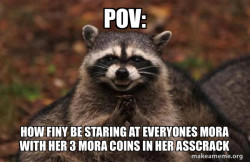 Evil Plotting Raccoon