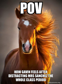 Ridiculously photogenic horse