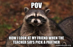 Evil Plotting Raccoon