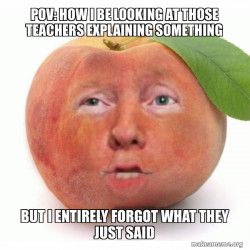 Impeached Donald Trump