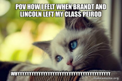 First World Cat Problems