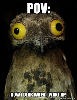 Weird Stuff I do Potoo