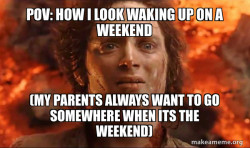 Frodo it's over it's done