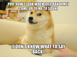 Doge