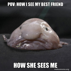 Blobfish