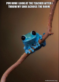 Small Fact Frog
