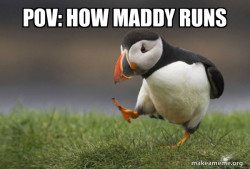 Unpopular Opinion Puffin