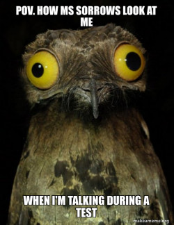 Weird Stuff I do Potoo