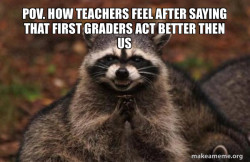 Evil Plotting Raccoon