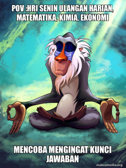 Rafiki Meditating - Lion King