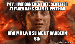 Frodo it's over it's done