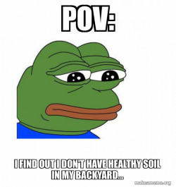 Feels Bad Man
