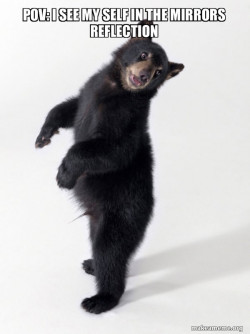 Super Bear'd