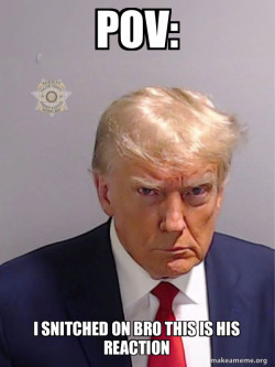 Donald Trump Mugshot