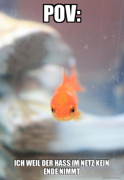 Grumpy Fish