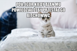 Cute Kitten