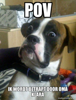Skeptical Dog