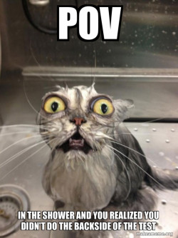 Cat bath