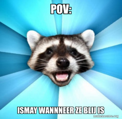 Lame Pun Coon