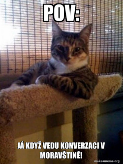 The Most Interesting Cat in the World