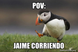 Unpopular Opinion Puffin