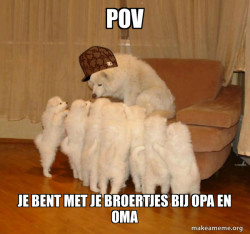 Scumbag Storytelling Dog