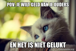 First World Cat Problems
