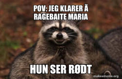 Evil Plotting Raccoon