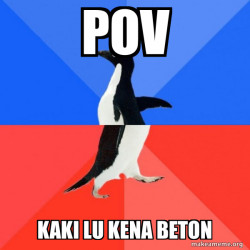 Socially Awkward Awesome Penguin