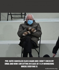 Bernie Sanders at the Inauguration