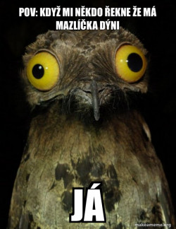 Weird Stuff I do Potoo