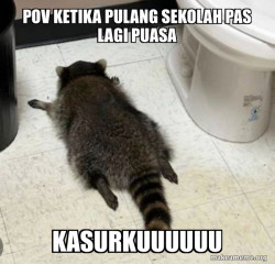 Drunk Raccoon