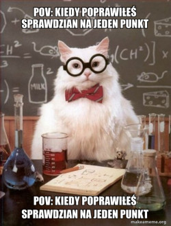 Chemistry Cat