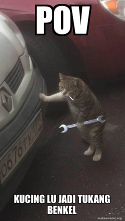 Mechanic Cat