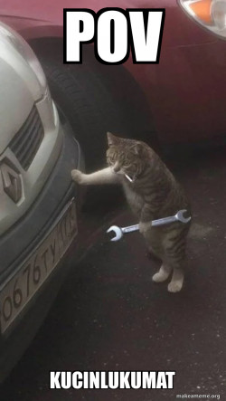 Mechanic Cat
