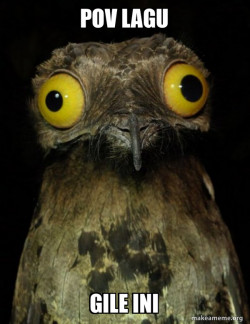 Weird Stuff I do Potoo